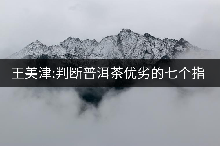 王美津:判斷普洱茶優(yōu)劣的七個(gè)指標(biāo)之“質(zhì)”