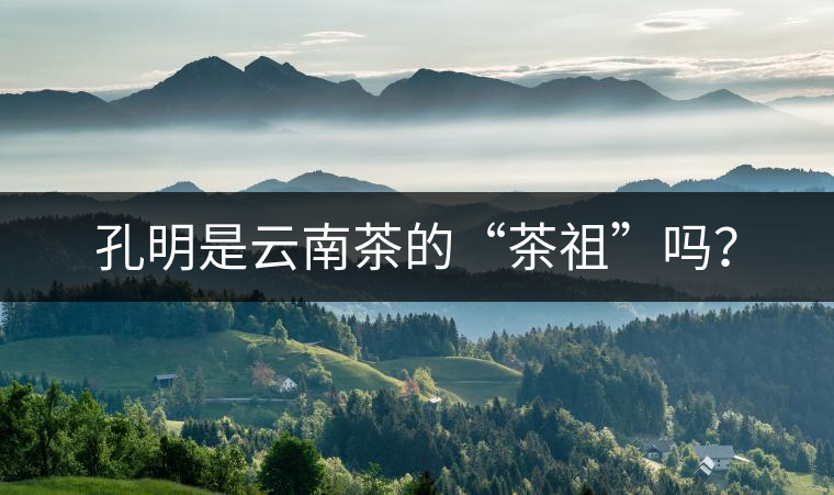 孔明是云南茶的“茶祖”嗎？