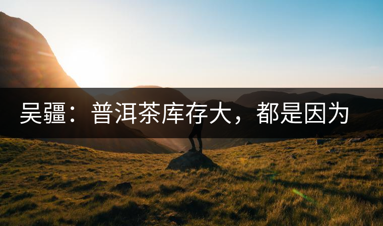 吳疆：普洱茶庫存大，都是因為“越陳越香”