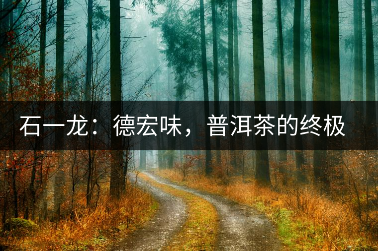 石一龍：德宏味，普洱茶的終極意境