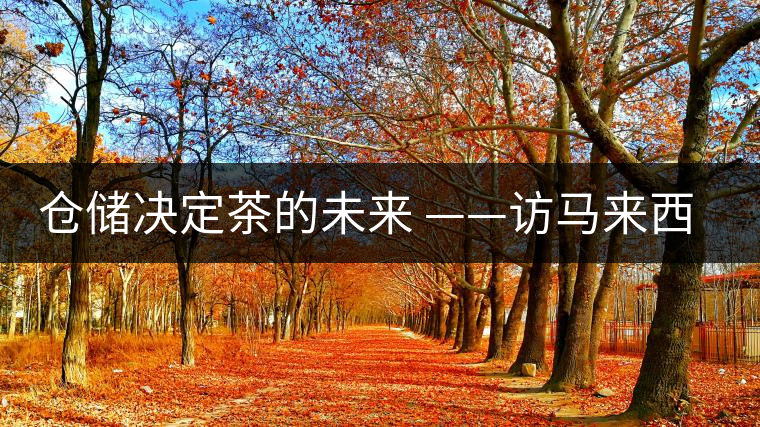 倉儲決定茶的未來 ——訪馬來西亞資深茶人 郭俊邦 倉儲決定茶的未來 ——訪馬來西亞資深茶人 郭俊邦