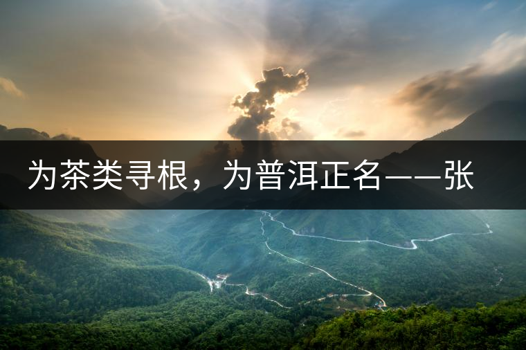 為茶類尋根，為普洱正名——張宏達(dá)的普洱茶研究