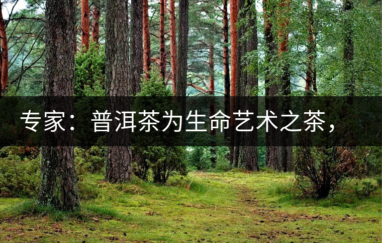 專家：普洱茶為生命藝術(shù)之茶，現(xiàn)低價時期可投資收茶