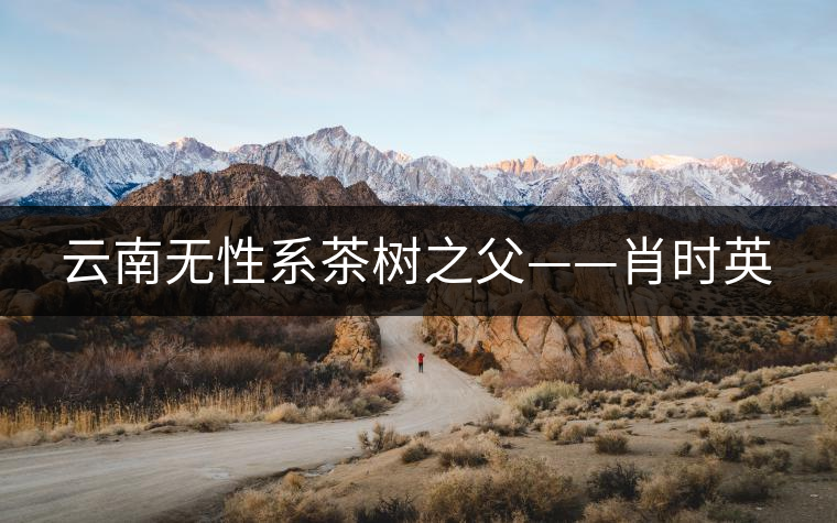 云南無性系茶樹之父——肖時英 云南無性系茶樹之父——肖時英