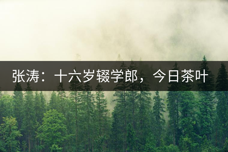 張濤：十六歲輟學(xué)郎，今日茶葉中堅