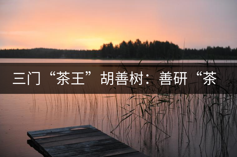 三門“茶王”胡善樹(shù):善研“茶經(jīng)”有建樹(shù) 三門“茶王”胡善樹(shù):善研“茶經(jīng)”有建樹(shù)