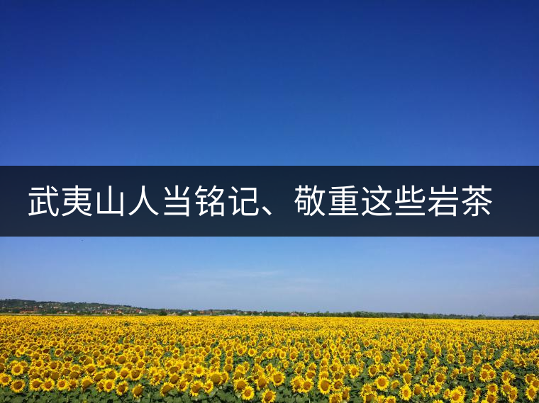 武夷山人當(dāng)銘記、敬重這些巖茶功臣