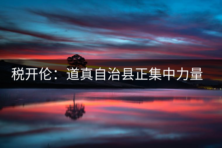 稅開倫：道真自治縣正集中力量打造“中國(guó)硒鍶茶鄉(xiāng)”