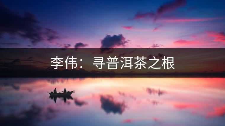 李偉：尋普洱茶之根