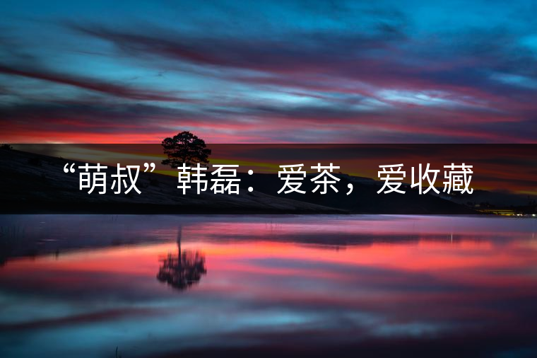 “萌叔”韓磊：愛(ài)茶，愛(ài)收藏