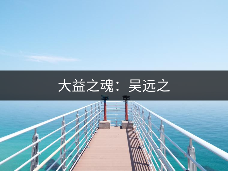 大益之魂:吳遠(yuǎn)之 大益之魂:吳遠(yuǎn)之