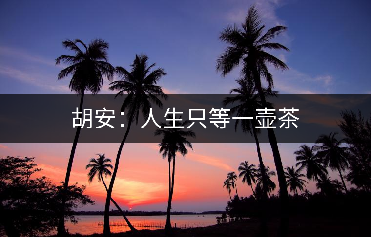 胡安:人生只等一壺茶 胡安:人生只等一壺茶