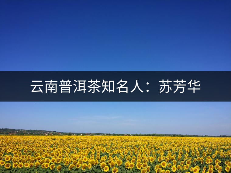 云南普洱茶知名人:蘇芳華 云南普洱茶知名人:蘇芳華