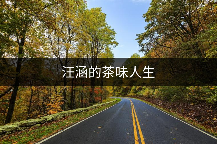 汪涵的茶味人生 汪涵的茶味人生