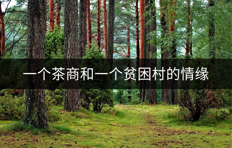 一個(gè)茶商和一個(gè)貧困村的情緣 一個(gè)茶商和一個(gè)貧困村的情緣