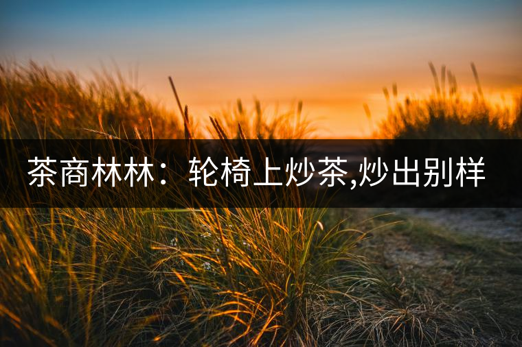 茶商林林：輪椅上炒茶,炒出別樣的一生！