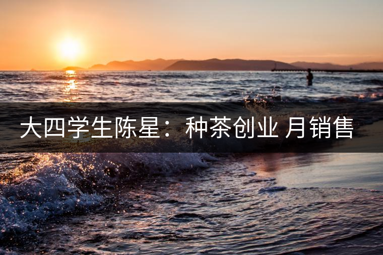 大四學(xué)生陳星：種茶創(chuàng)業(yè) 月銷(xiāo)售額超五十萬(wàn)