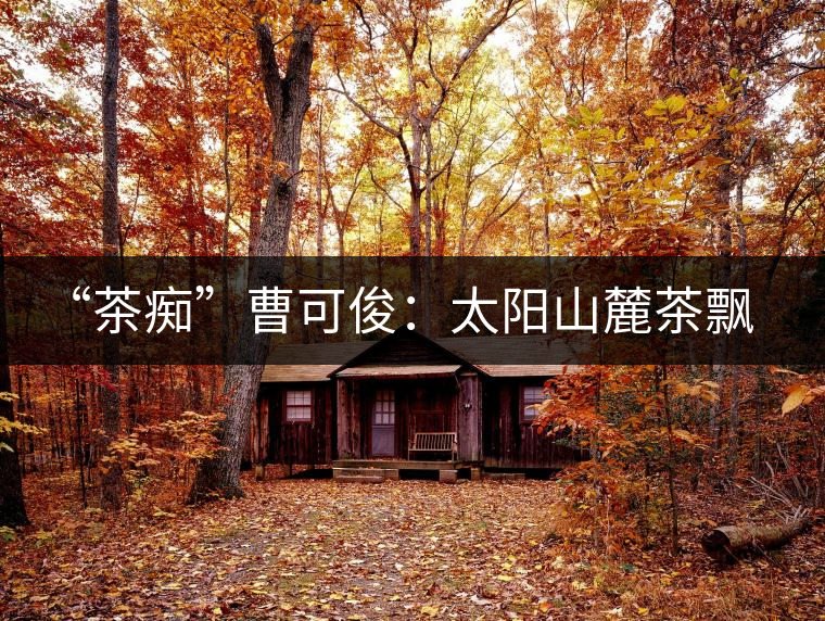 “茶癡”曹可俊：太陽山麓茶飄香，清明時節(jié)采茶忙