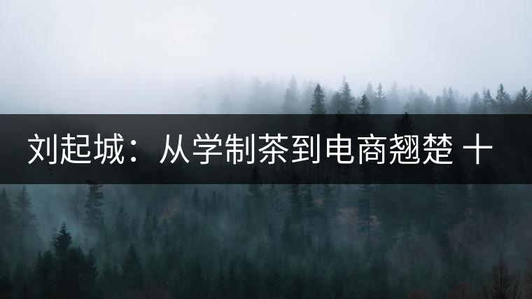 劉起城:從學(xué)制茶到電商翹楚 十年造就文化茶園 劉起城:從學(xué)制茶到電商翹楚 十年造就文化茶園