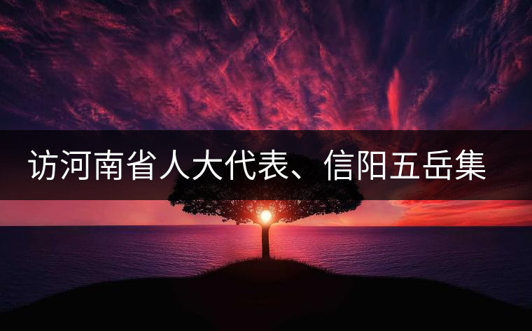 訪河南省人大代表、信陽五岳集團董事長胡鎮(zhèn)——茶鄉(xiāng)亦飄茶油香 訪河南省人大代表、信陽五岳集團董事長胡鎮(zhèn)——茶鄉(xiāng)亦飄茶油香