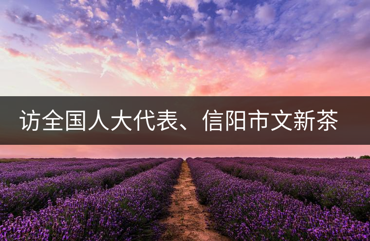 訪全國人大代表、信陽市文新茶葉有限責(zé)任公司董事長劉文新