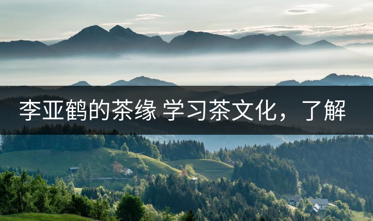 李亞鶴的茶緣 學(xué)習(xí)茶文化，了解茶文化，品味茶文化