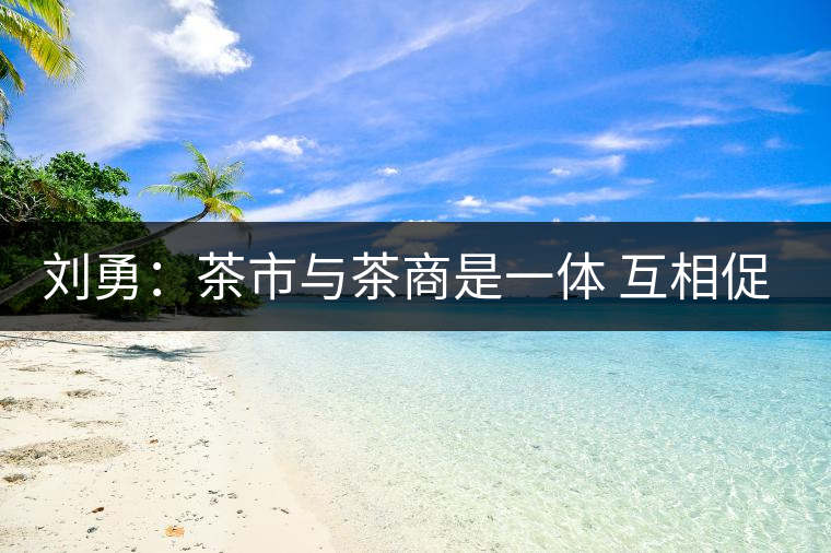 劉勇:茶市與茶商是一體 互相促進(jìn)才能更好發(fā)展 劉勇:茶市與茶商是一體 互相促進(jìn)才能更好發(fā)展