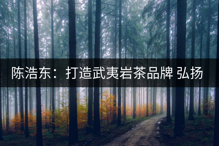陳浩東:打造武夷巖茶品牌 弘揚(yáng)中華茗茶文化 陳浩東:打造武夷巖茶品牌 弘揚(yáng)中華茗茶文化