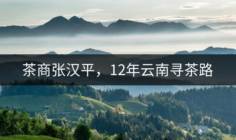 茶商張漢平，12年云南尋茶路