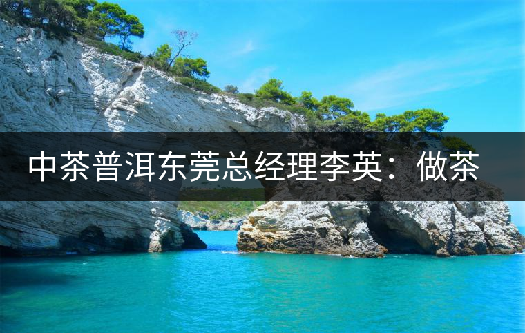 中茶普洱東莞總經(jīng)理李英：做茶應該“心思簡靜”