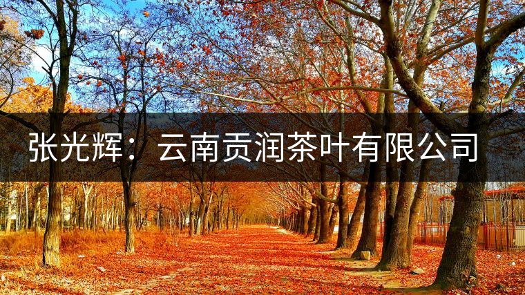 張光輝:云南貢潤(rùn)茶葉有限公司董事長(zhǎng) 張光輝:云南貢潤(rùn)茶葉有限公司董事長(zhǎng)