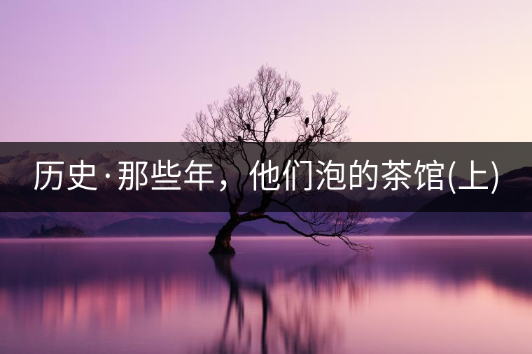 歷史·那些年，他們泡的茶館(上)