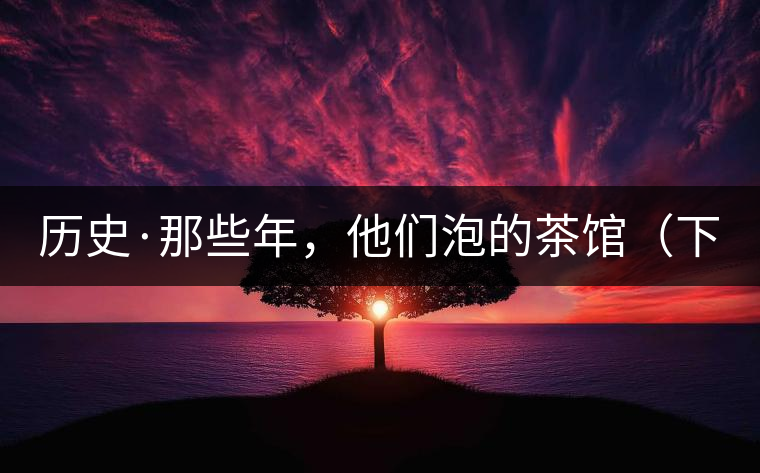 歷史·那些年，他們泡的茶館（下）