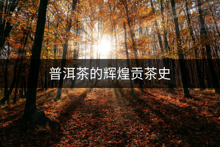 普洱茶的輝煌貢茶史 普洱茶的輝煌貢茶史
