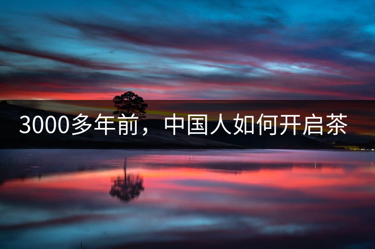 3000多年前，中國人如何開啟茶生活？