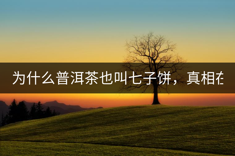 為什么普洱茶也叫七子餅，真相在這里！