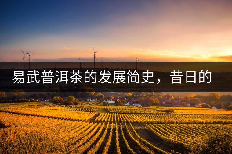 易武普洱茶的發(fā)展簡史，昔日的貢茶如今依然輝煌