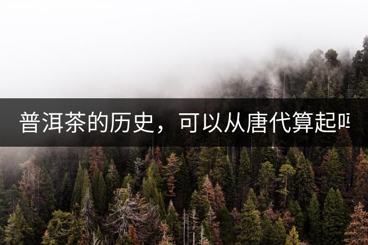 普洱茶的歷史，可以從唐代算起嗎？