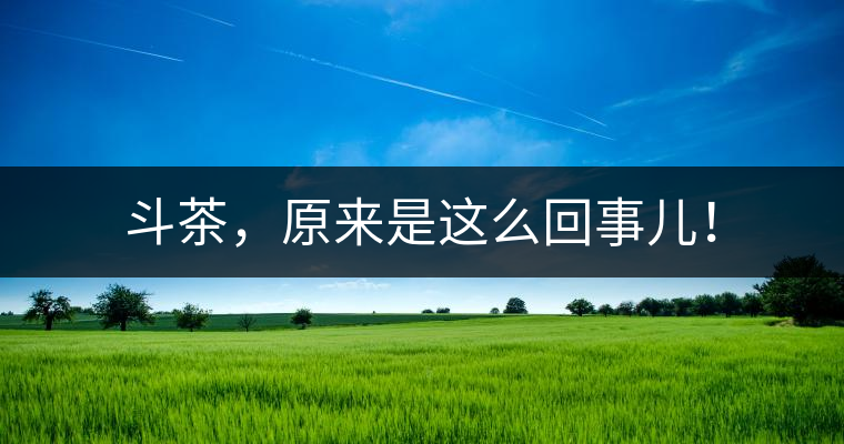 斗茶，原來是這么回事兒！