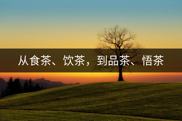 從食茶、飲茶，到品茶、悟茶