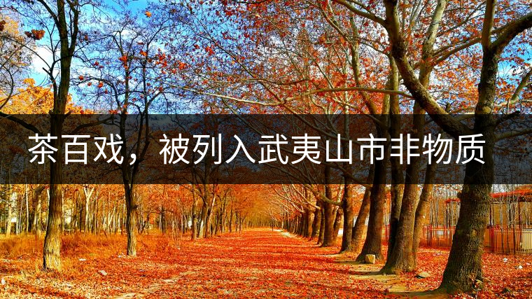 茶百戲，被列入武夷山市非物質(zhì)文化遺產(chǎn)的茶湯