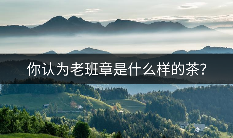 你認(rèn)為老班章是什么樣的茶？