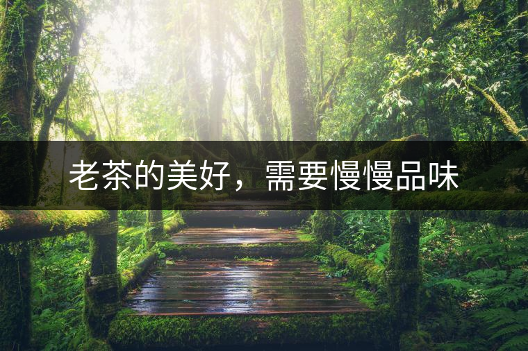 老茶的美好，需要慢慢品味