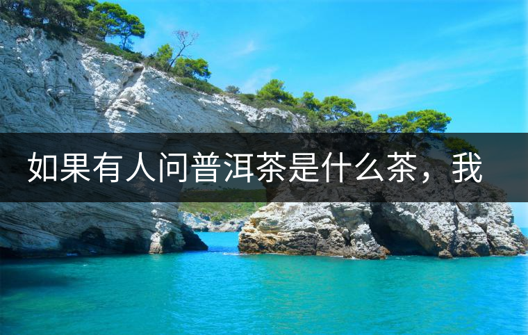 如果有人問普洱茶是什么茶，我就請他看這個(gè)段子