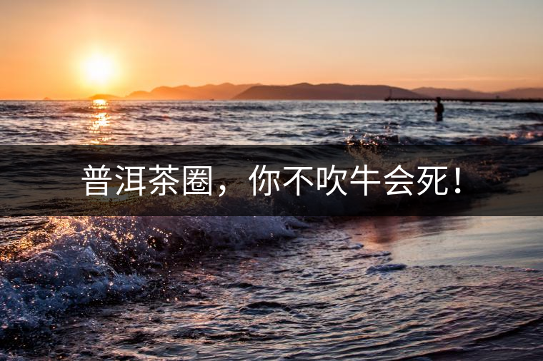 普洱茶圈，你不吹牛會死！