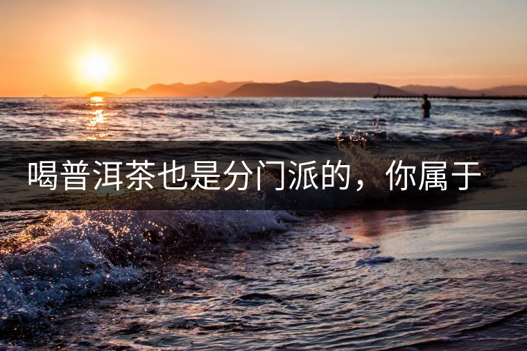 喝普洱茶也是分門派的，你屬于哪派呢？