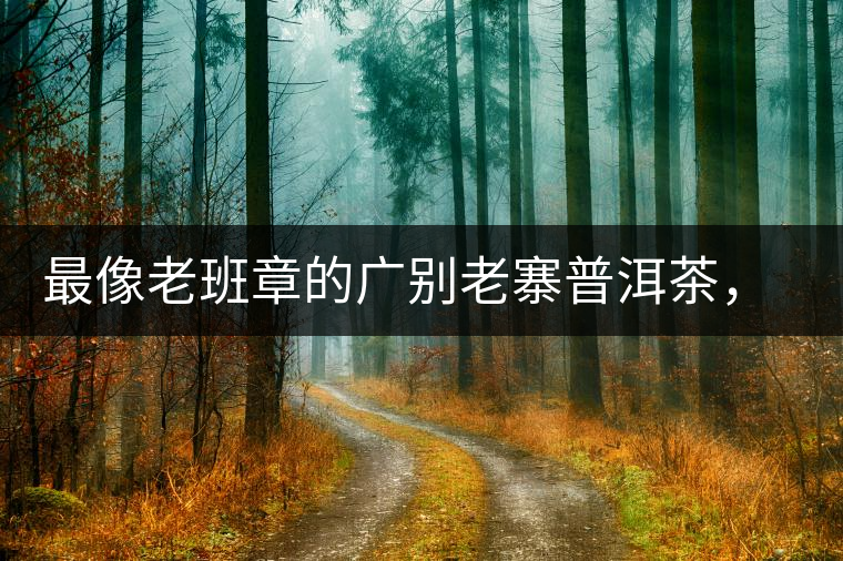 最像老班章的廣別老寨普洱茶，卻是冰島派來(lái)的臥底