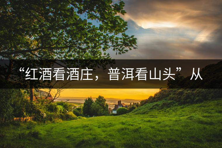 “紅酒看酒莊，普洱看山頭”從這里秒懂普洱茶的未來