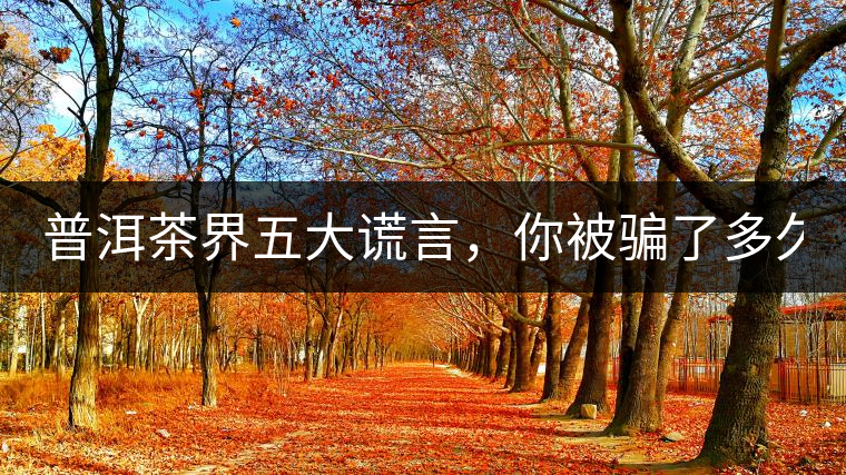 普洱茶界五大謊言，你被騙了多久？