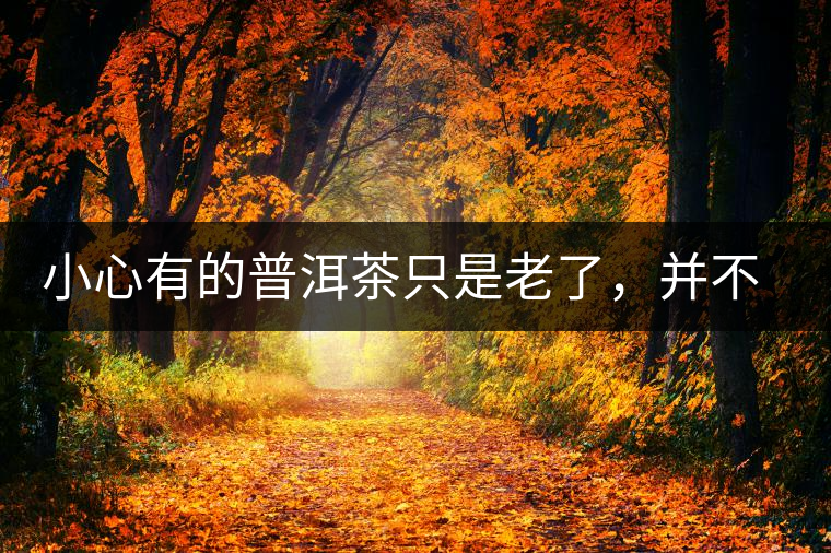 小心有的普洱茶只是老了，并不是好了